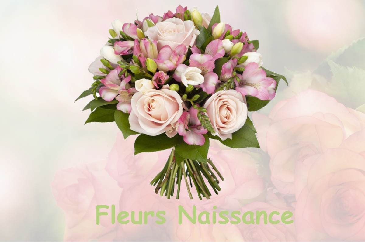 fleurs naissance HUSSEREN-WESSERLING